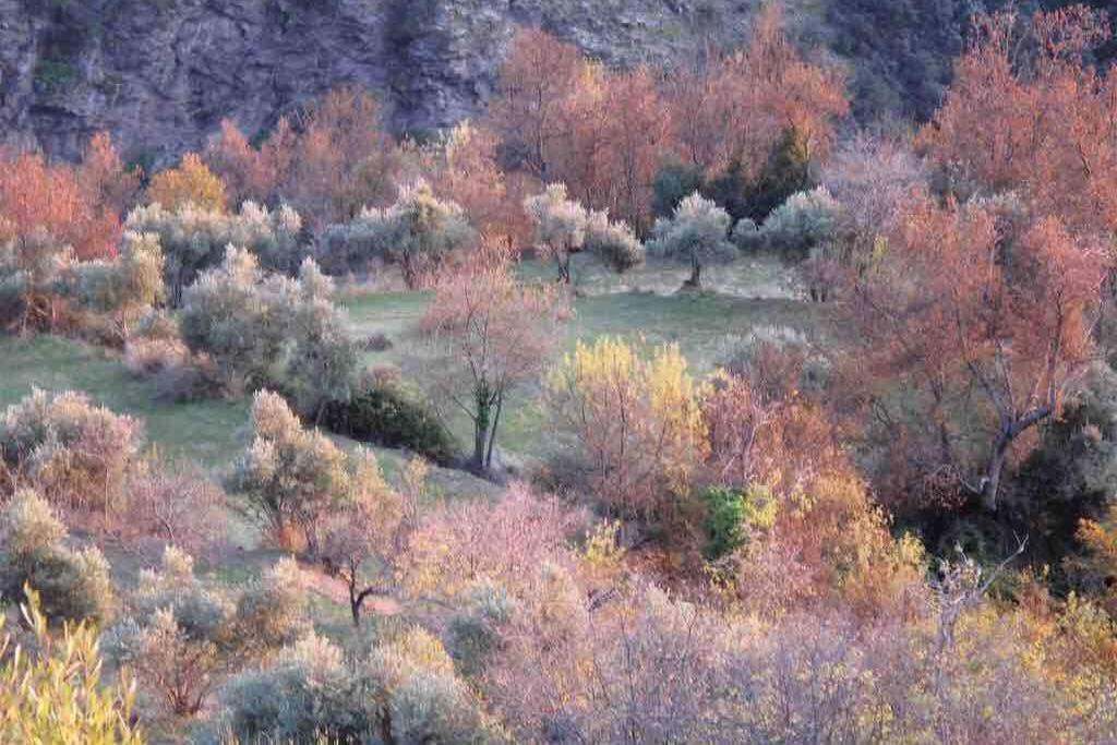 Casa Carmela, Rural House With Spectacular Views, In An Exquisite Area Atalbeitar Exterior foto