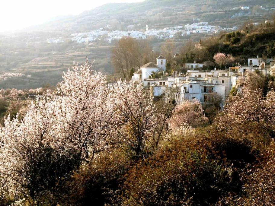 Casa Carmela, Rural House With Spectacular Views, In An Exquisite Area Atalbeitar Exterior foto