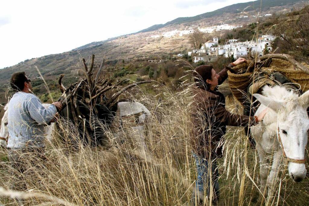 Casa Carmela, Rural House With Spectacular Views, In An Exquisite Area Atalbeitar Exterior foto