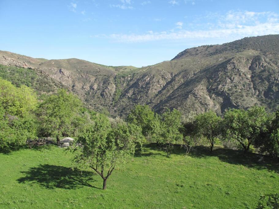 Casa Carmela, Rural House With Spectacular Views, In An Exquisite Area Atalbeitar Exterior foto