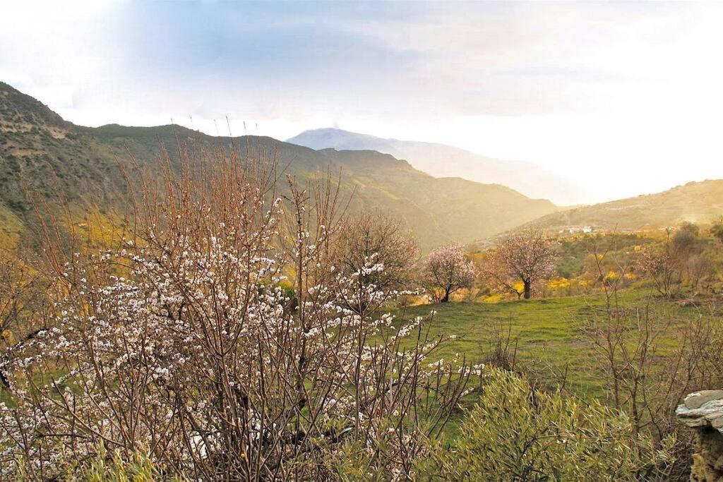 Casa Carmela, Rural House With Spectacular Views, In An Exquisite Area Atalbeitar Exterior foto