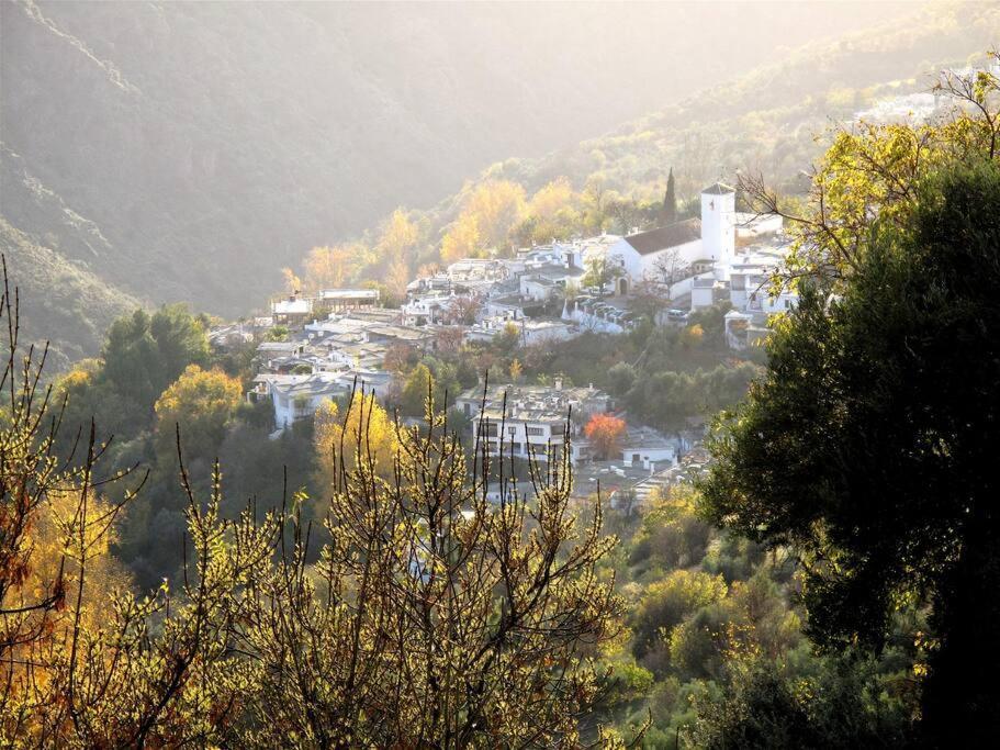 Casa Carmela, Rural House With Spectacular Views, In An Exquisite Area Atalbeitar Exterior foto