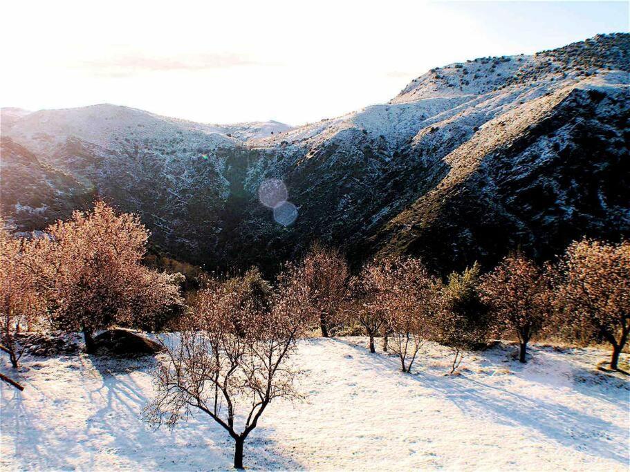 Casa Carmela, Rural House With Spectacular Views, In An Exquisite Area Atalbeitar Exterior foto