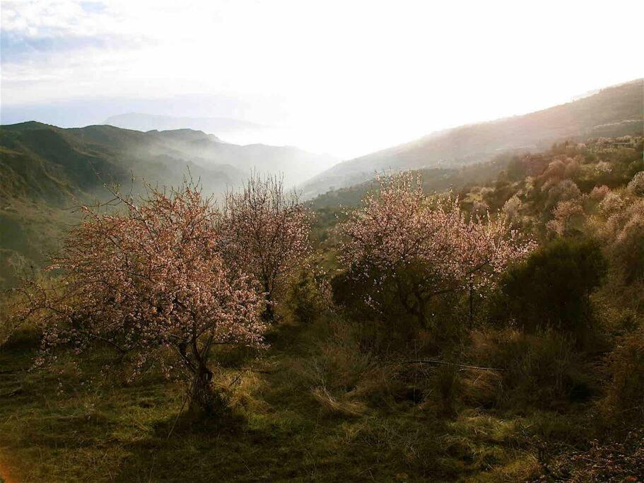 Casa Carmela, Rural House With Spectacular Views, In An Exquisite Area Atalbeitar Exterior foto
