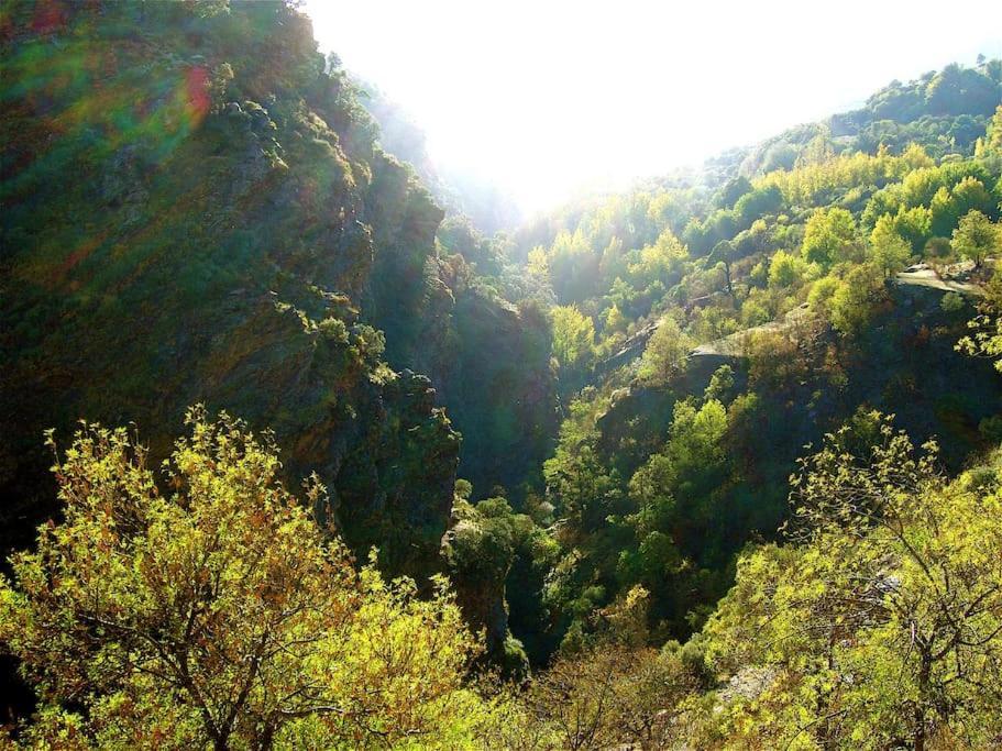 Casa Carmela, Rural House With Spectacular Views, In An Exquisite Area Atalbeitar Exterior foto