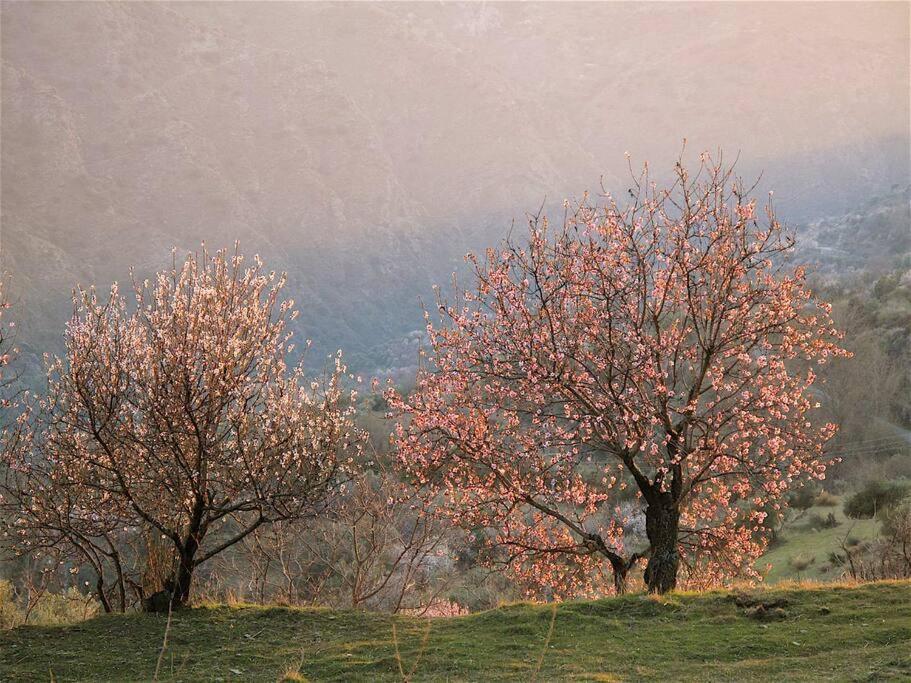Casa Carmela, Rural House With Spectacular Views, In An Exquisite Area Atalbeitar Exterior foto