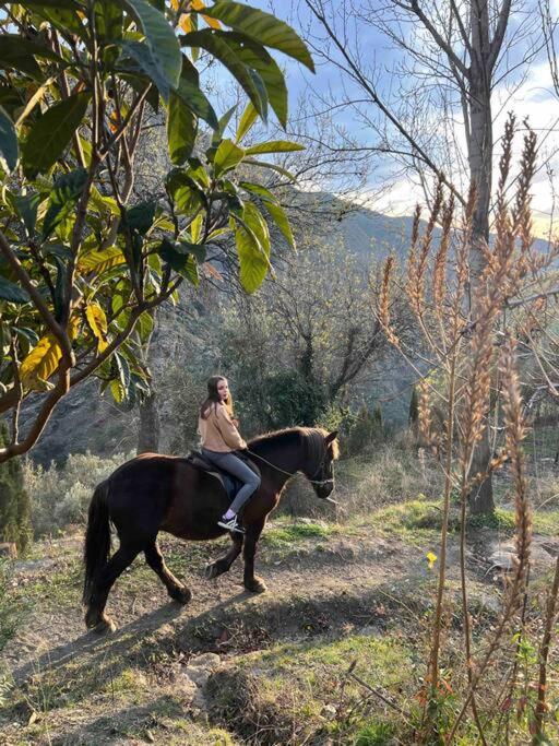 Casa Carmela, Rural House With Spectacular Views, In An Exquisite Area Atalbeitar Exterior foto